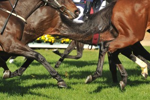 Doncaster Racecourse