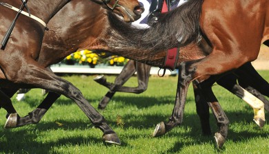 Doncaster Racecourse